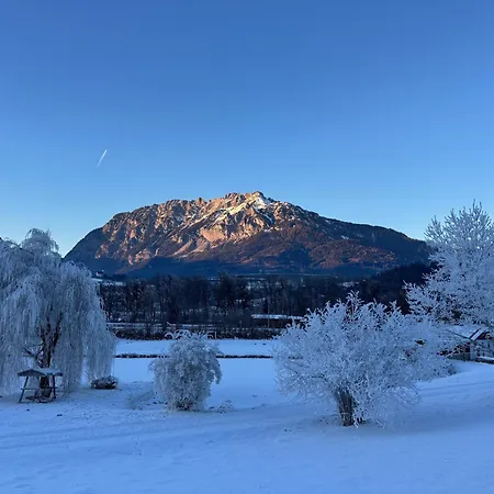 Alpen Experience 그뢰브밍