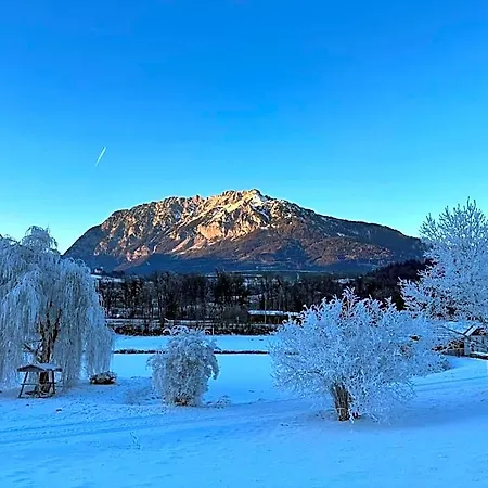 Hotel Alpen Experience Grobming